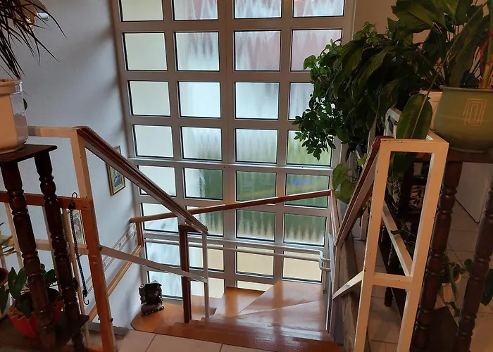 Takacs-haz * גיינסדיאס